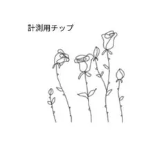 計測用ネイルチップ