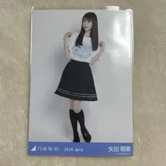 乃木坂46 真夏の全国ツアー2026 Tシャツ 生写真 矢田萌華 - メルカリ