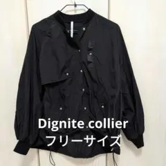 Dignite collier (ディニテコリエ) ラグラン デザインブルゾンのサムネイル