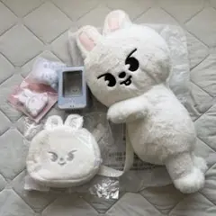 Stray Kidsリノ グッズ セット POPUP スキズ