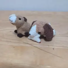 ぬいぐるみ本体 2匹セット