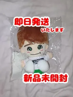 2026年最新】大橋和也 ちびぬいの人気アイテム - メルカリ