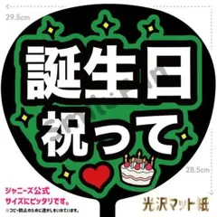 KX-1245 ファンサうちわ コンサートうちわ 文字うちわ 名前文字