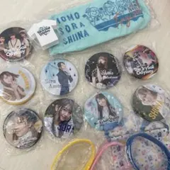 TrySail 缶バッジ まとめ売り マグネット付 - メルカリ