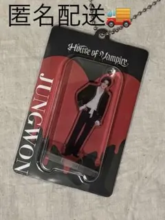 ENHYPEN HouseofVampire 嫉妬 ジョンウォン アクキー