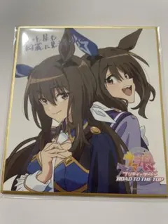 入場特典ミニ色紙 ウマ娘 ROAD TO THE TOP アドマイヤベガ