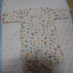 Item thumbnail for item 66a6af91-3450-457e-a452-e71958b8aa54