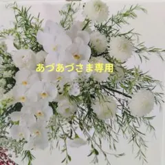 ラグノオ いのち 杏仁みかん・梨恵夢詰め合わせのサムネイル