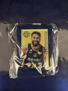 宇都宮ブレックス　ミニチュア アート イーゼル