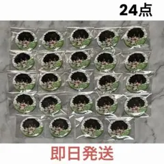 ワイテルズ Nakamu 花龍列車 等身 コースター 10枚 - メルカリ
