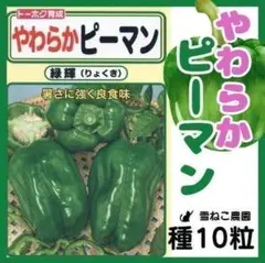 【野菜の種】「やわらかピーマン」１０粒　やわらかくて食べやすく病気・暑さにも強い