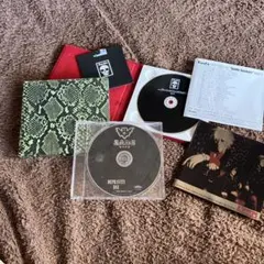 SADS 赤裸々　DEPRAVITY DAY 2枚セット