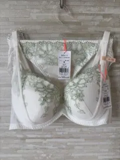 E70&M」トリンプ チャーミングラマー スリムライン 花言葉 ブラ&ショーツ