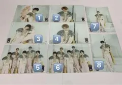 M!LKエビライ2024生写真 8枚セット(バラ売り可能・他商品まとめ買い可能)