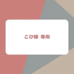 こひ様 追加オプション