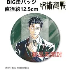 【新品未開封】日車寛見 Ani-Art第9弾 BIG缶バッジ アニメイト先行販売