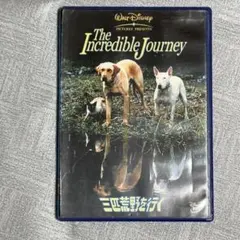 【ケース劣化あり】DVD 三匹荒野を行く