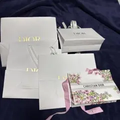 CHRISTIAN DIOR ショッパーのみ5点