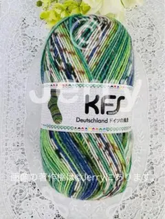 Opal毛糸: KFS 梅村マルティナオパール毛糸 [ドイツの風景] ベルリン