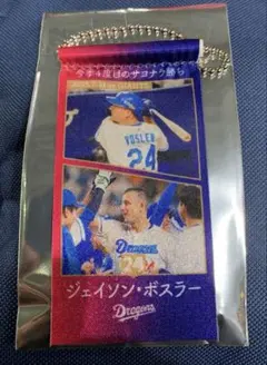 11/22 中日ドラゴンズ　シークレットメモリータペストリー　ボスラー