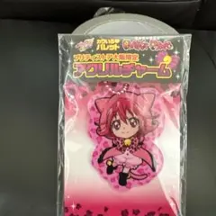 ドキドキプリキュア 限定 カワいろパレット アクリルチャーム レジーナ プリキュア 未開封 カワいろパレット はるか きらら 2個セット