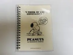 Item thumbnail for item 019aba8c-b121-468b-9cf7-9e492f6997ba