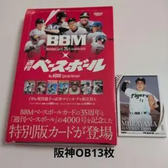 Item thumbnail for item 7d013c02-2c98-4b06-824d-f76ce25400c1