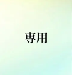 専用出品