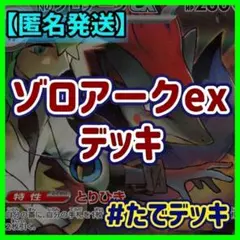 Nのゾロアークexデッキ ゾロアークデッキ 構築済みデッキ【24時間以内発送❗️】