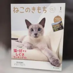 ねこのきもち 2023年 1月 2月 3月 3冊セットのサムネイル
