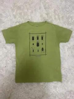 mont-bell キッズ Tシャツ 昆虫柄 ライトグリーンのサムネイル