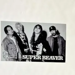 SUPER BEAVER POPUP　限定ステッカー ノベルティ 新品未使用