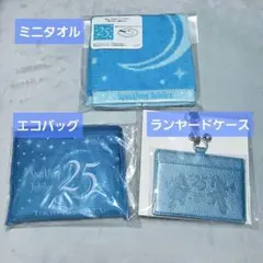 ディズニーシー25周年 ランヤード パスケース ファンダフルディズニー