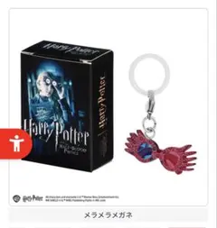 ハリーポッターめじるしアクセサリー メラメラメガネのサムネイル