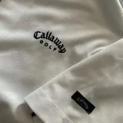 Item thumbnail for item 221b5803-f2aa-4171-ad52-85342ac51c2c