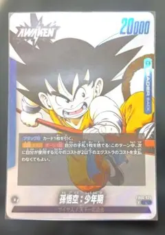 孫悟空 FB05-053 パラレル 1st Complete 書籍付録 - メルカリ