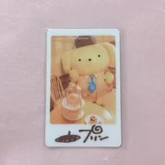 きゅあかわぱらだいす 東京ドームホテル チェキ風カード SS席限定