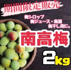 2 和歌山県 みなべ産 南高梅 2kgのサムネイル