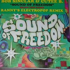 【レコード】Bob Sinclar & cutee B