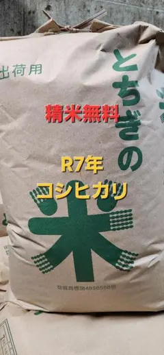 令和7年 栃木県産 コシヒカリ 10kg 10キロ 玄米のサムネイル