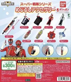 スーパー戦隊シリーズ　目印アクセサリー