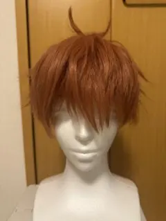 ツイステ エース・トラッポラ コスプレウィッグ - メルカリ