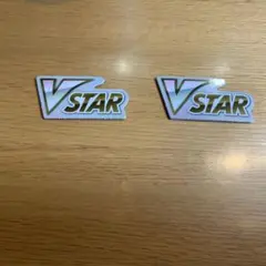 VSTAR マーカー 2個セット