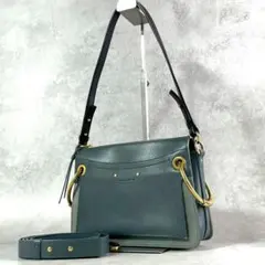 美品✨️Chloe クロエ ロイ 2way ショルダーバッグ レザー グリーン 