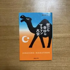 世にも奇妙なマラソン大会