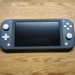 Nintendo Switch Lite グレー 本体