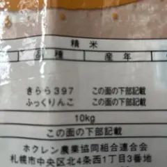 Item thumbnail for item 672bf76c-9c9c-4118-808a-29f50ddae628