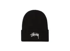 NIKE✖︎Stussyビーニー