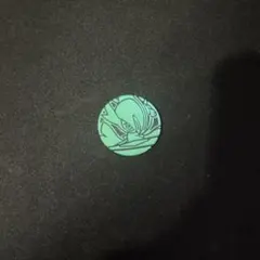 メガエルレイドEX ポケモンコイン（グリーン）