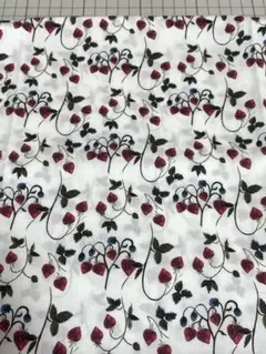 Item thumbnail for item a7459036-7980-4bb3-840a-c1c394d8f020